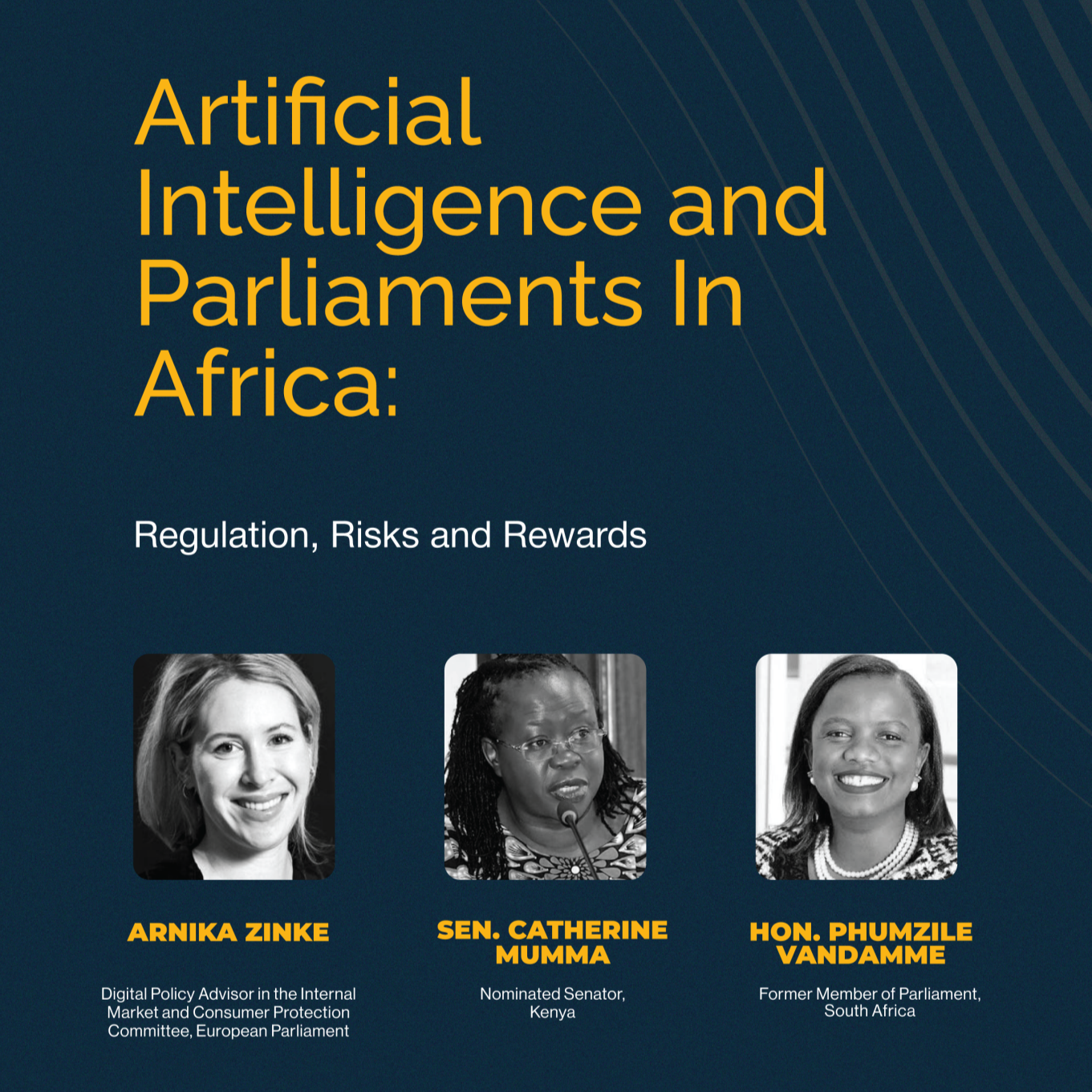 Artificial Intelligence and Parliaments in Africa